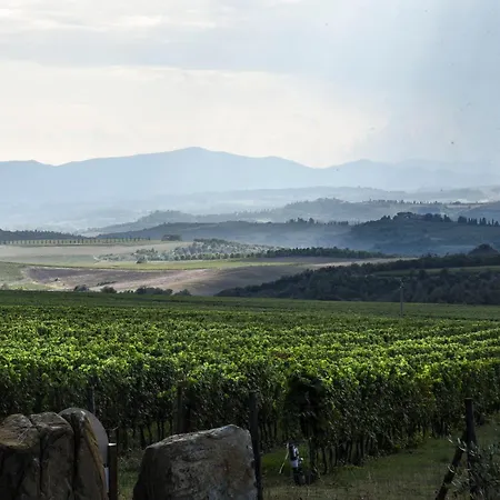 Podere Brizio